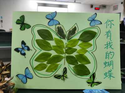 图片6.png 图片6.png